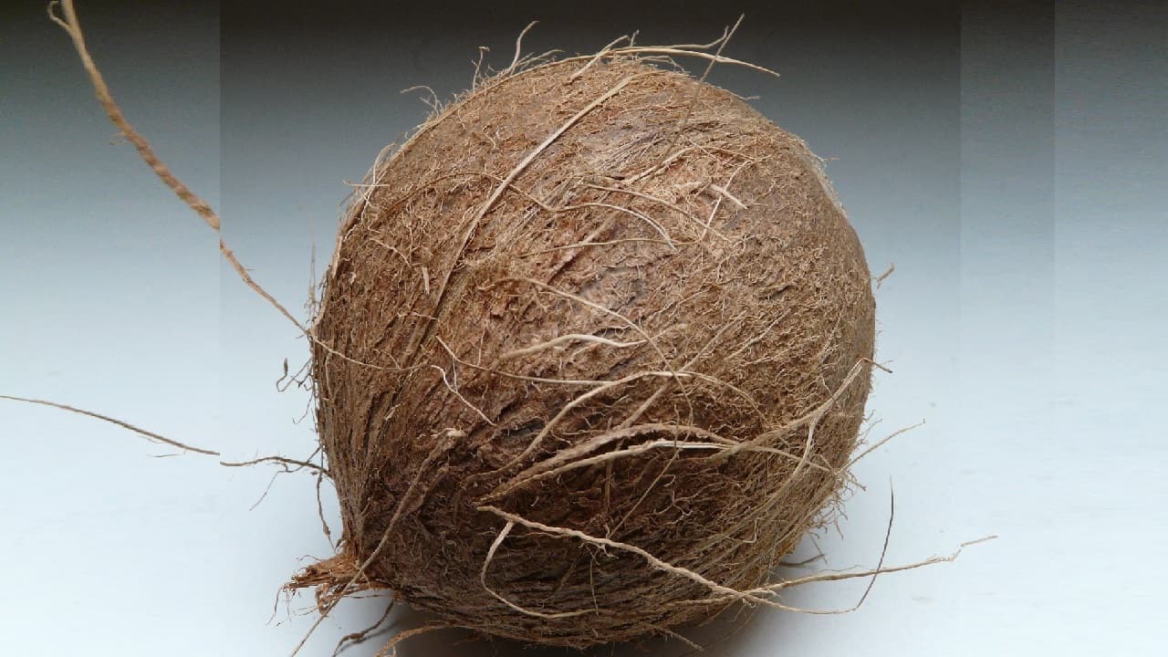విమానంలో కొబ్బరికాయను ఎందుకు తీసుకెళ్లనివ్వరు? కారణం తెలిస్తే అవాక్కవుతారు